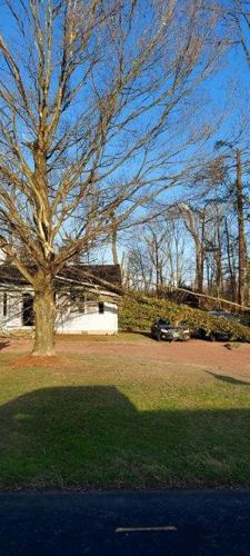 Trees down on a car and a house near Route 13 in Bridgeville.