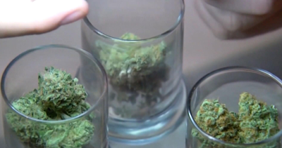 CANNABIS DISPENSARY