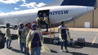 Brandywine Valley SPCA Celebrates Milestone With 100th Animal Rescue Flight