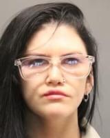 Police Arrest Woman in Dewey Beach After She Displayed Gun At The Lighthouse