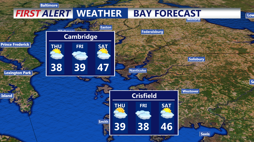BAY FORECAST