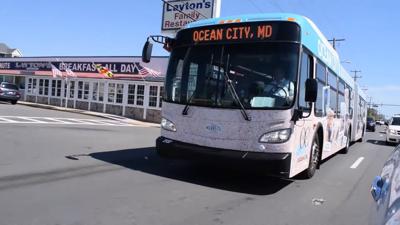 oceancitybus
