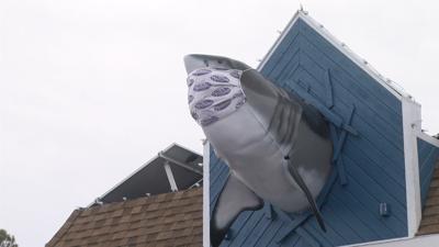 Businesses and Bands Play their Parts to Keep COVID-19 from Spreading in Dewey Beach