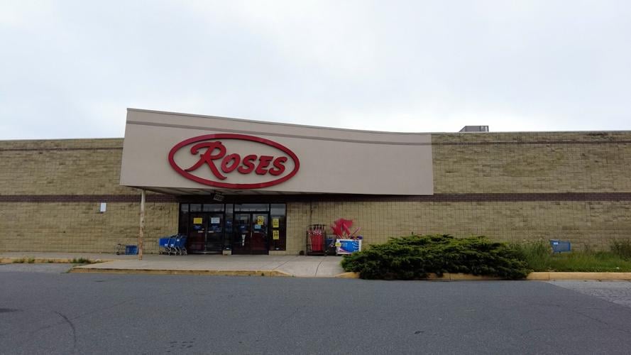 Roses in Ocean City