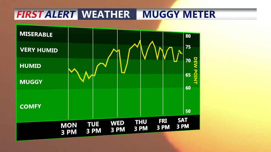 muggy meter