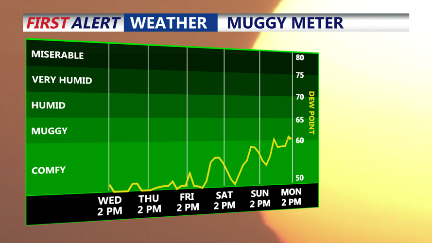 MUGGY METER