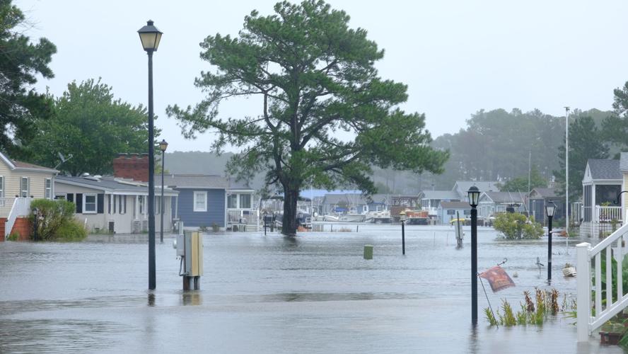 Water-filled streets surround trees and light poles.