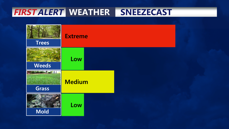 SNEEZECAST