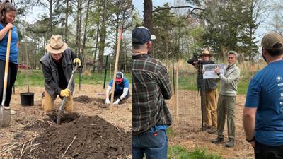 Fourth Street Planting