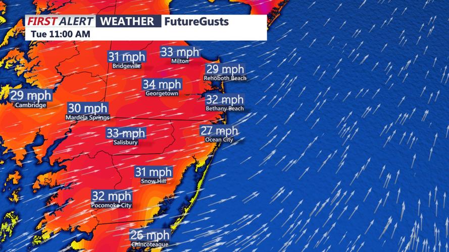 Dry and Windy Conditions Cause Fire Weather Warning for Maryland and Delaware, Burn with Caution