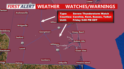 Severe Thunderstorm Watch