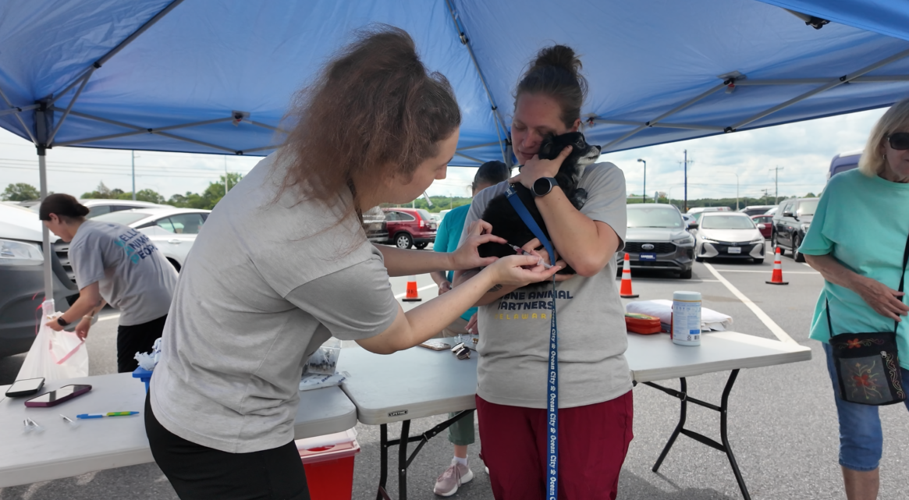 HAP says they will be having their $20 vaccine clinics this summer.