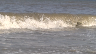 Waters off the coast of Delaware experiencing a "marine heat wave"