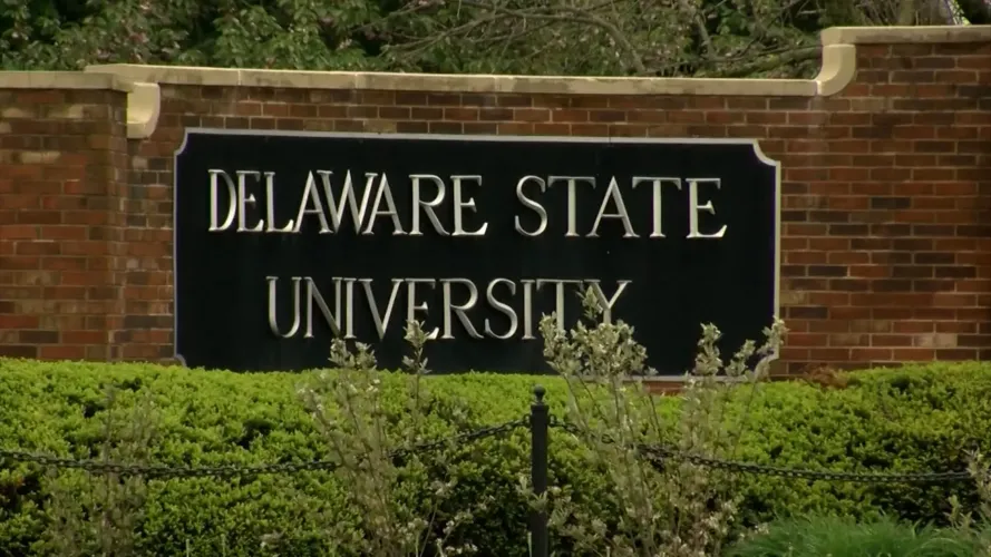 dsu