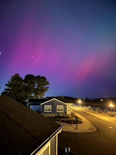 Sarah Gilson, Long Neck.jpg