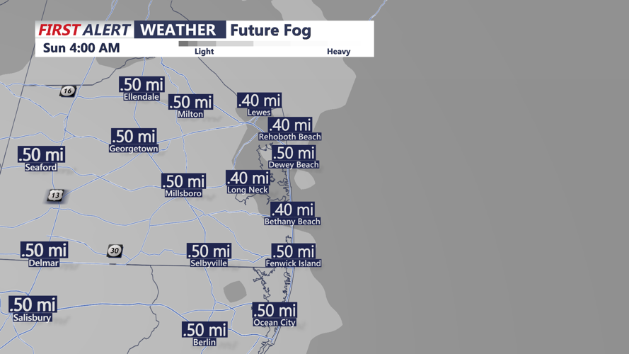 FUTUREFOG 4AM