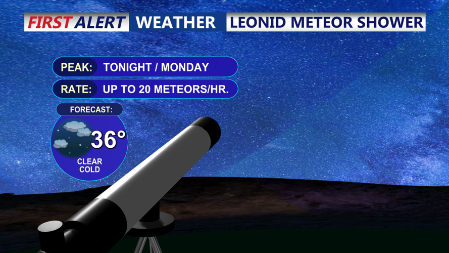 LEONID METEOR SHOWER