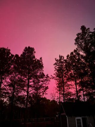 Seaford, Sarah Gilson.jpg