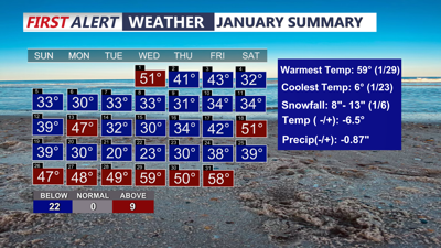 January Temperature Summary
