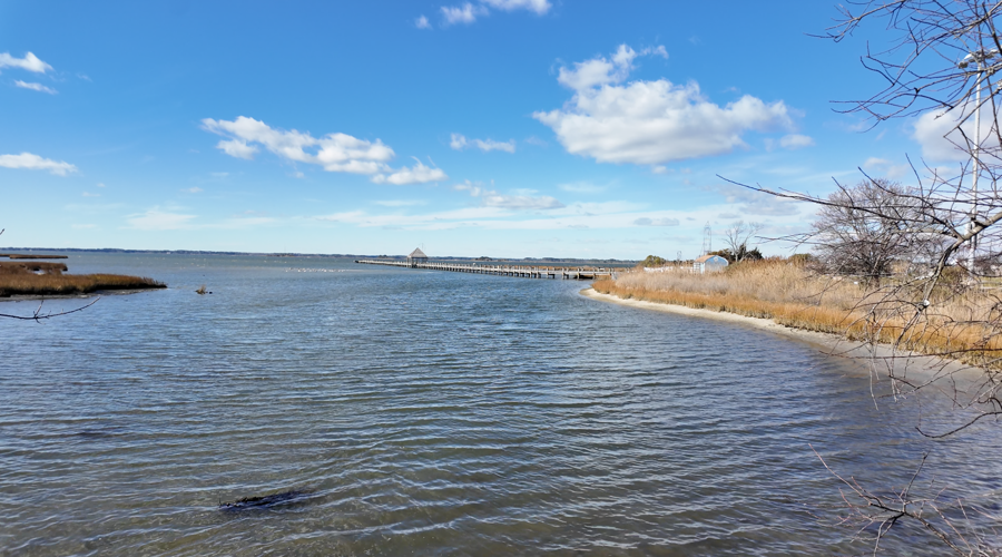 Assawoman Bay