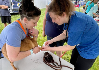 Low-cost pet wellness days from Humane Animal Partners