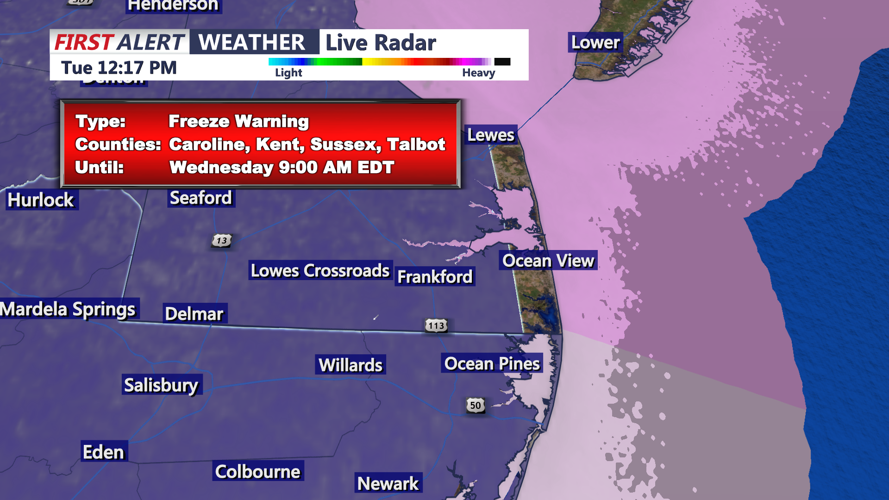 FREEZE WARNING SUSSEX
