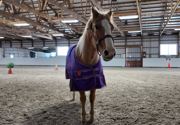 Farmers say hydration is one of the biggest concerns during cold weather.