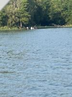 River Deaths Ohio