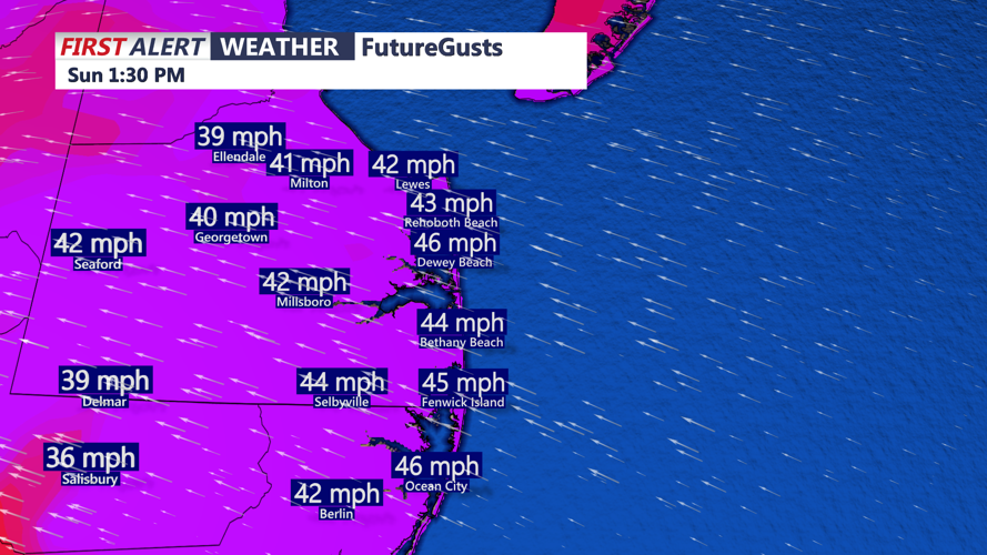 Image shows future wind gusts Sunday.