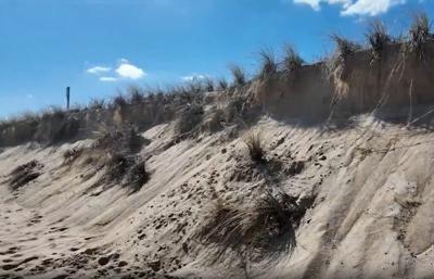 Bethany Beach Dune