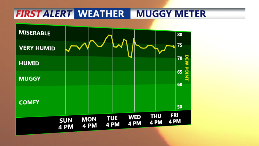 Muggy Meter