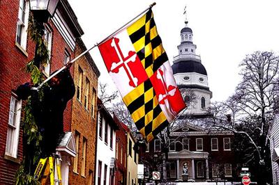 Maryland Flag