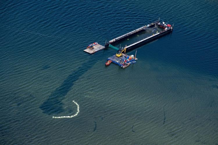 Germany Whale Rescue