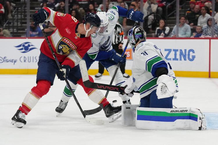 Canucks Panthers Hockey