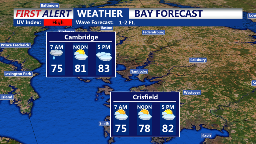 Bay Forecast
