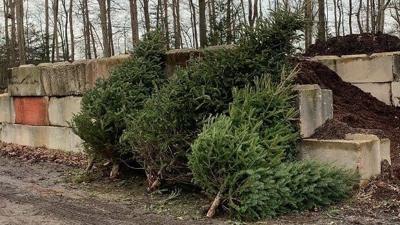 Christmas Tree Recycling: A Post-Holiday Tradition