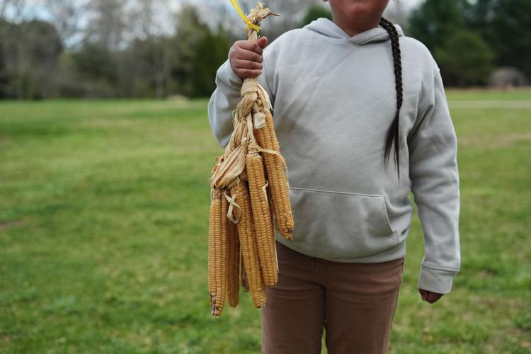 Climate Farm Bill Indigenous