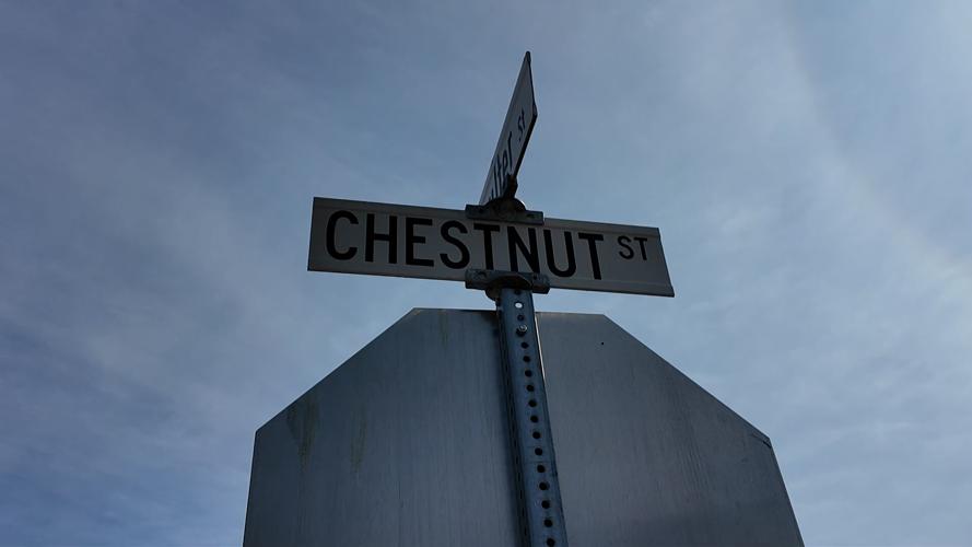 Chestnut Street sign in Milton