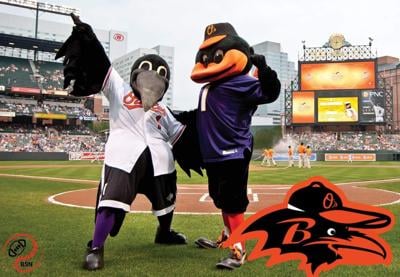 Baltimore Ravens Orioles