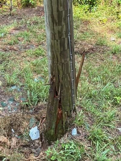 Utility Pole Damage