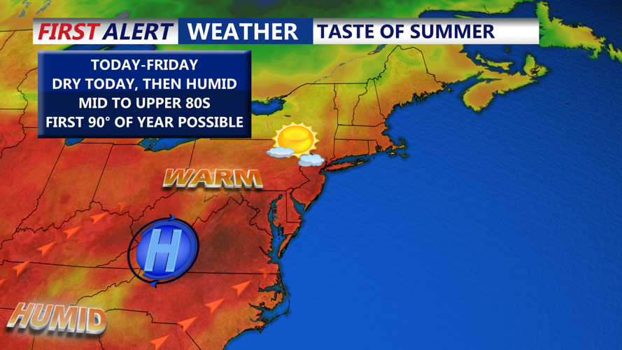 Taste Of Summer