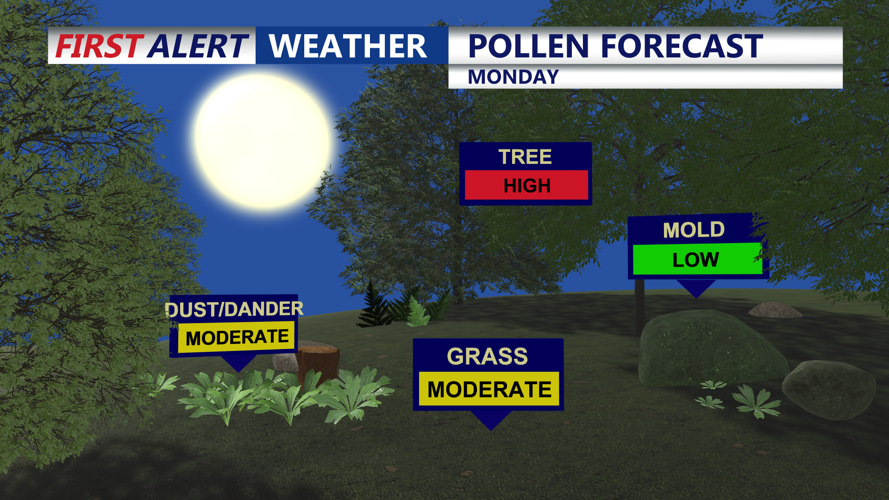 Pollen Forecast