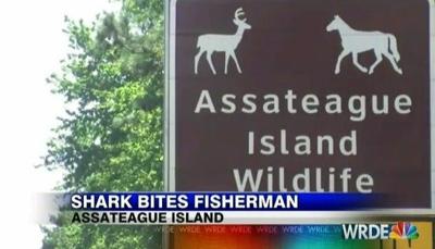 Shark Bites Fisherman on Assateague Island