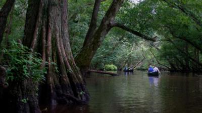 People kayaking