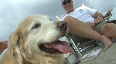 More Vacationers Flock to Broadkill Beach