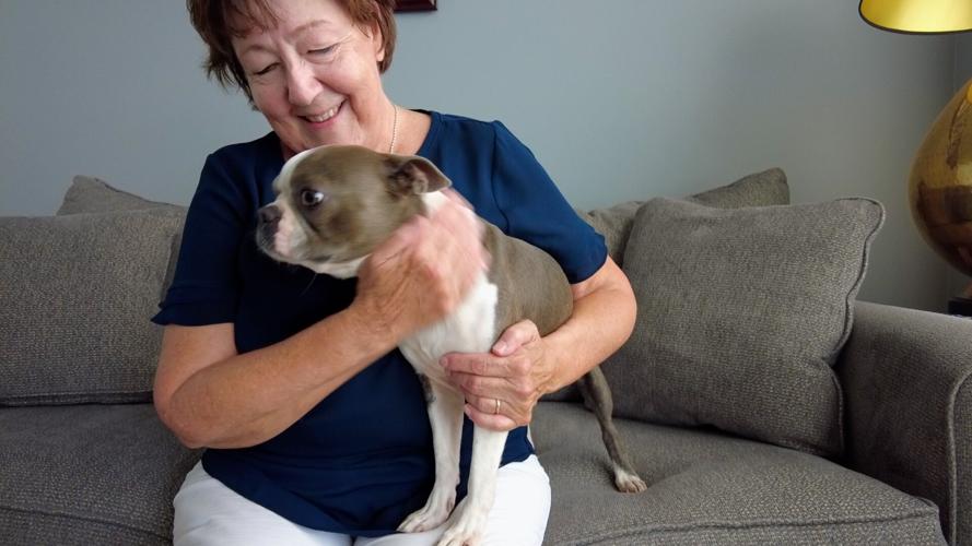 millie adopted.jpg