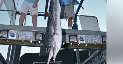 White Marlin Open