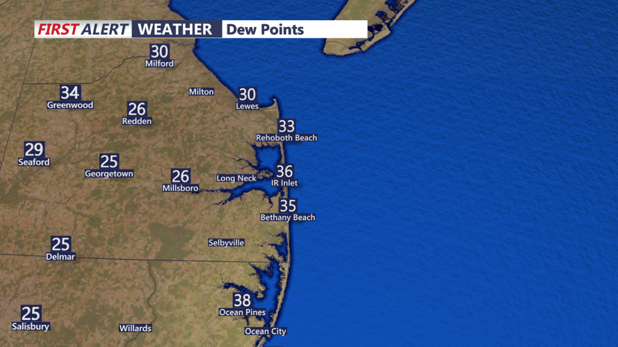 Dew Point Temperature Readings