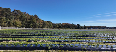 Magee Farms