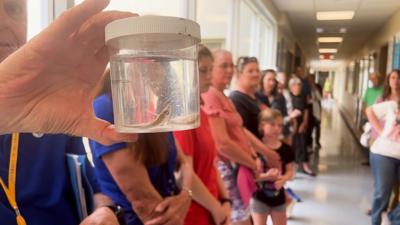 How Research at the University of Delaware's Lewes Campus is Helping the Environment